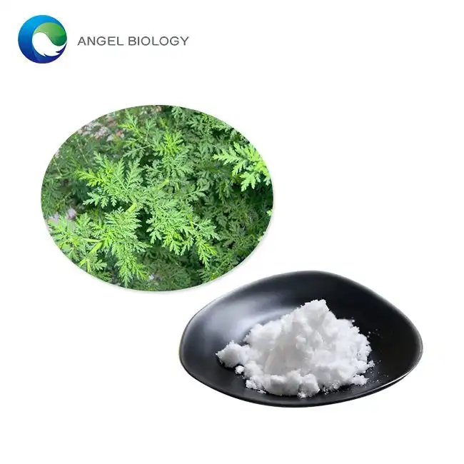 Artemisia Annua Extract Powder